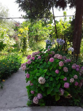 Zeleniy Dvorik Guest House, Akhali Atoni